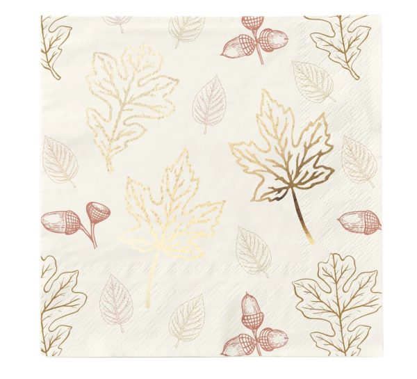 Cocktail Napkin - Harvest Garden, 20 count